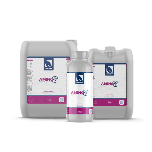 Amino 24