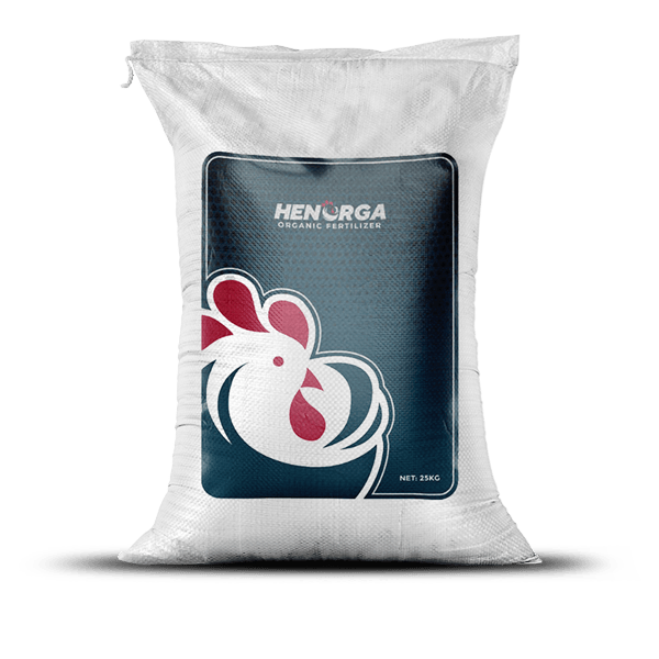 HENORGA